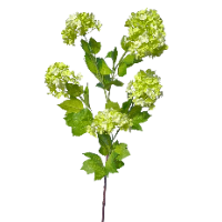 Zijde Viburnum groen